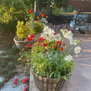 Meet your Posher, Lorraine